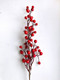 Миниатюра изображения товара Ветка новогодняя Geliu sala Шиповника / 21LJ-153 (50см)