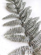 Миниатюра изображения товара Ветка новогодняя Geliu sala Папоротник мелколистный / BRS3-4615 (76см)