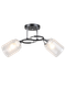 Миниатюра изображения товара Потолочный светильник Aitin-Pro НПБ 02-2x60-101 / K2246/2 (черный/хром)
