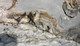 Миниатюра изображения товара Плитка Farro Ceramics Bronko Grey Rust Matt Carving (600x1200, серо-голубой)