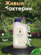 Миниатюра изображения товара Биоактиватор Микропрепараты БакСепт (1л)