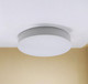 Миниатюра изображения товара Потолочный светильник Truenergy 11152