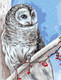 Миниатюра изображения товара Картина по номерам Три совы Белая сова / КХ3040_53849