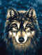 Миниатюра изображения товара Картина по номерам Три совы Волк / КХ3040_53841