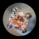 Миниатюра изображения товара Микроскоп оптический Микромед MC-1 Jeweler BE / 31454