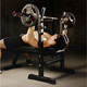 Миниатюра изображения товара Скамья для жима штанги DFC Melkin / MKBP01