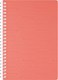 Миниатюра изображения товара Тетрадь Berlingo Your Way / SRn_A5892 (80л, коралловый)