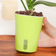 Миниатюра изображения товара Кашпо BOTANICA Aqua с автополивом (9.5x11.5см, зеленый)