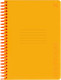 Миниатюра изображения товара Тетрадь BG Neon / Т5гр48_пл 58826 (48л, оранжевый)