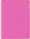 Миниатюра изображения товара Тетрадь BG Neon / Т5гр48_пл 58818 (48л, розовый)