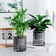 Миниатюра изображения товара Кашпо BOTANICA Babble 10.5x11.5см (серый)