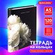 Миниатюра изображения товара Тетрадь Brauberg 404721 (120л)