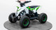 Миниатюра изображения товара Электроквадроцикл Motax Gekkon E1300 (черный/белый/зеленый)