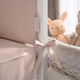 Миниатюра изображения товара Комплект постельный для малышей Perina Teddy Sateen Collection / ТДСК6-01.4 (бежевый)
