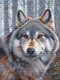 Миниатюра изображения товара Набор для вышивания БЕЛОСНЕЖКА Волк / 200-14