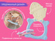 Миниатюра изображения товара Прорезыватель для зубов ROXY-KIDS Meow Teether / RMT-001 (голубой)