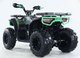 Миниатюра изображения товара Квадроцикл Motax Grizlik U200 (черный/зеленый камуфляж)