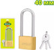 Миниатюра изображения товара Замок навесной DYLLU DTPD2440