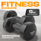 Миниатюра изображения товара Набор гантелей Sundays Fitness IR92005 (2x5кг, черный)