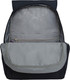 Миниатюра изображения товара Рюкзак Grizzly RXL-425-1 (черный)