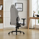 Миниатюра изображения товара Кресло геймерское Evolution Titan Fabric (серый)