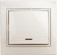 Миниатюра изображения товара Выключатель INTRO Plano 1-102-02 / Б0053730 (слоновая кость)