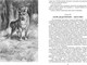 Миниатюра изображения товара Книга Махаон Дом шалунов, твердая обложка (Чарская Лидия)