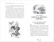 Миниатюра изображения товара Книга Росмэн Волшебник Изумрудного города, твердая обложка (Волков Александр)