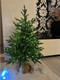 Миниатюра изображения товара Ель искусственная National Tree Company Сиера СР-90 (90см )