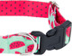 Миниатюра изображения товара Ошейник Ami Play Регулируемый (S, Watermelon)