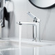 Миниатюра изображения товара Смеситель Shevanik S9901 (хром)