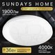 Миниатюра изображения товара Потолочный светильник Sundays Home 240924-1 / 5702
