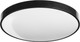 Миниатюра изображения товара Потолочный светильник Sundays Home 240924-14 / 5771 (черный)