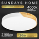 Миниатюра изображения товара Потолочный светильник Sundays Home 240924-19 / 5825 (белый/светлое дерево)