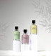 Миниатюра изображения товара Парфюмерная вода Paris Bleu Parfums Unforgiven Еscape Сapri Unisex (100мл)
