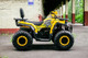 Миниатюра изображения товара Квадроцикл AVM Hammer 200 (желтый)