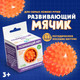 Миниатюра изображения товара Развивающая игрушка Zabiaka IQ Сенсорный мячик / 5491428