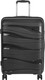 Миниатюра изображения товара Чемодан на колесах National NLT101-M (черный)