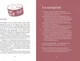 Миниатюра изображения товара Энциклопедия КоЛибри Еда без ошибок. Энциклопедия кухонной жизни (Дараган-Сущова Мария 9785389238879)