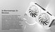 Миниатюра изображения товара Видеокарта Asus DUAL-RTX4060-O8G-EVO-WHITE
