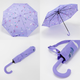 Миниатюра изображения товара Зонт складной Rain Berry 734-2313-VLT (фиолетовый)