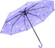 Миниатюра изображения товара Зонт складной Rain Berry 734-2313-VLT (фиолетовый)
