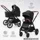 Миниатюра изображения товара Детская универсальная коляска Tomix Prime 2 в 1 D1/2 (Black)