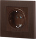 Миниатюра изображения товара Розетка INTRO Accent 6-202-10 / Б0063703 (венге)