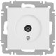 Миниатюра изображения товара Розетка INTRO Accent 6-301-01М / Б0063603 (белый матовый)