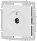 Миниатюра изображения товара Розетка INTRO Accent 6-301-01М / Б0063603 (белый матовый)