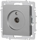 Миниатюра изображения товара Розетка INTRO Accent 6-301-03 / Б0063607 (алюминий)