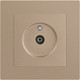 Миниатюра изображения товара Розетка INTRO Accent 6-301-04 / Б0063609 (шампань)