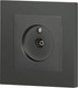 Миниатюра изображения товара Розетка INTRO Accent 6-301-07 / Б0063614 (графит)