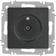 Миниатюра изображения товара Розетка INTRO Accent 6-301-07 / Б0063614 (графит)
